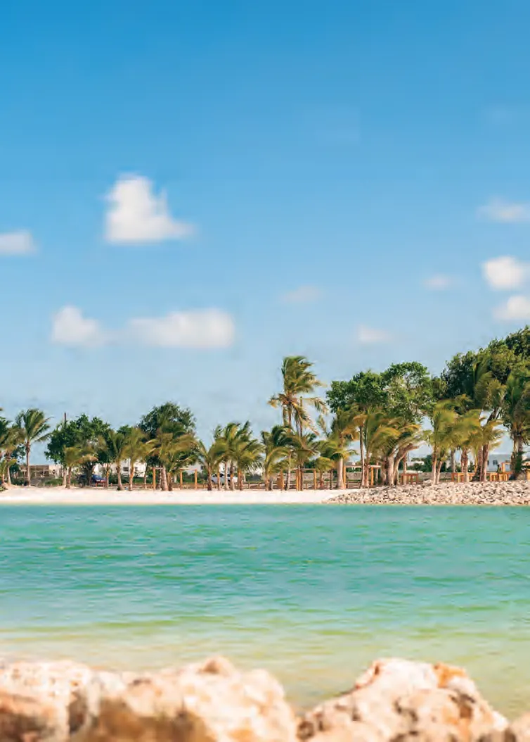 Palmas III at Vista Cana